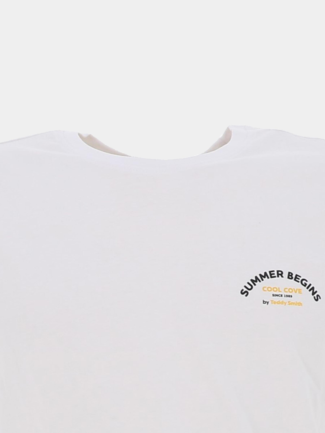 T-shirt azur blanc homme - Teddy Smith