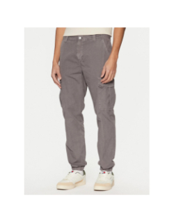 Pantalon cargo ryan gris homme - Tommy Jeans