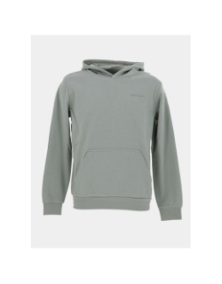 Sweat à capuche nark vert enfant - Teddy Smith