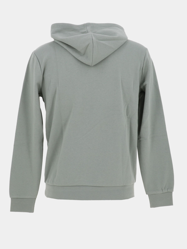 Sweat à capuche nark vert enfant - Teddy Smith