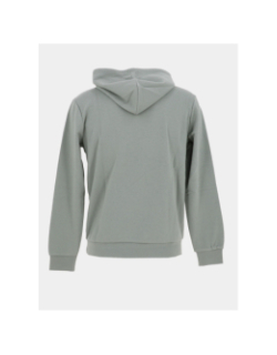 Sweat à capuche nark vert enfant - Teddy Smith