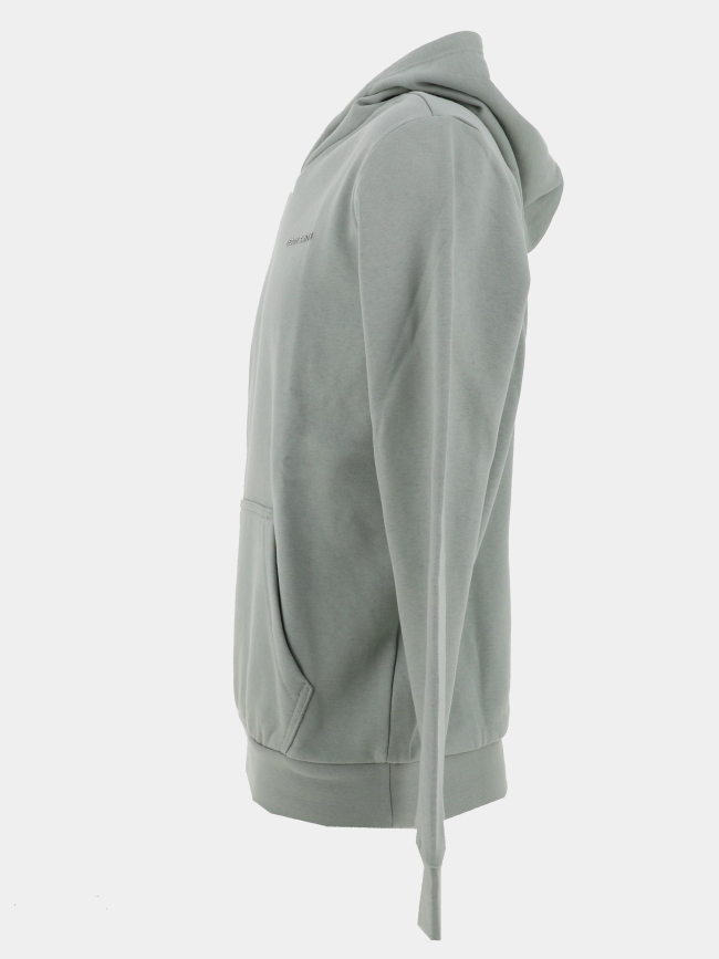 Sweat à capuche nark vert enfant - Teddy Smith