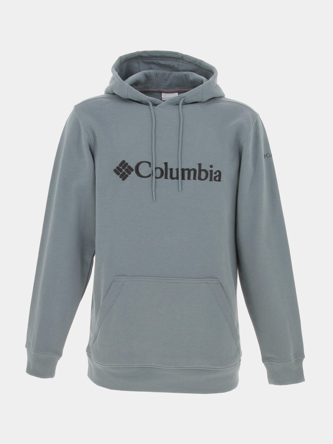 Sweat à capuche basic logo gris vert homme - Columbia