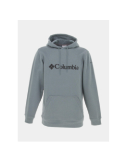 Sweat à capuche basic logo gris vert homme - Columbia