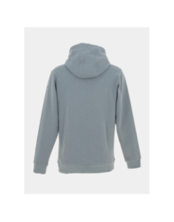 Sweat à capuche basic logo gris vert homme - Columbia
