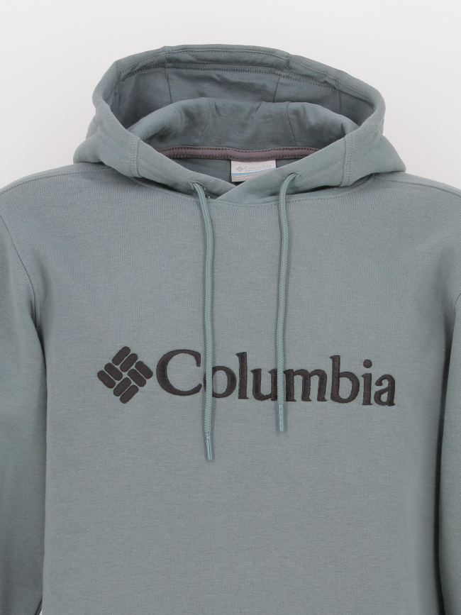 Sweat à capuche basic logo gris vert homme - Columbia