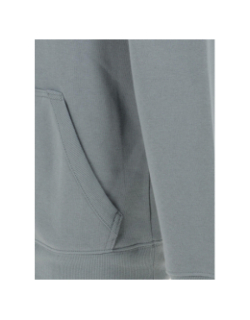Sweat à capuche basic logo gris vert homme - Columbia