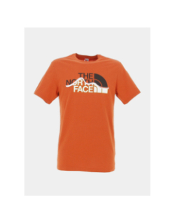T-shirt mountain line orange homme - The North Face