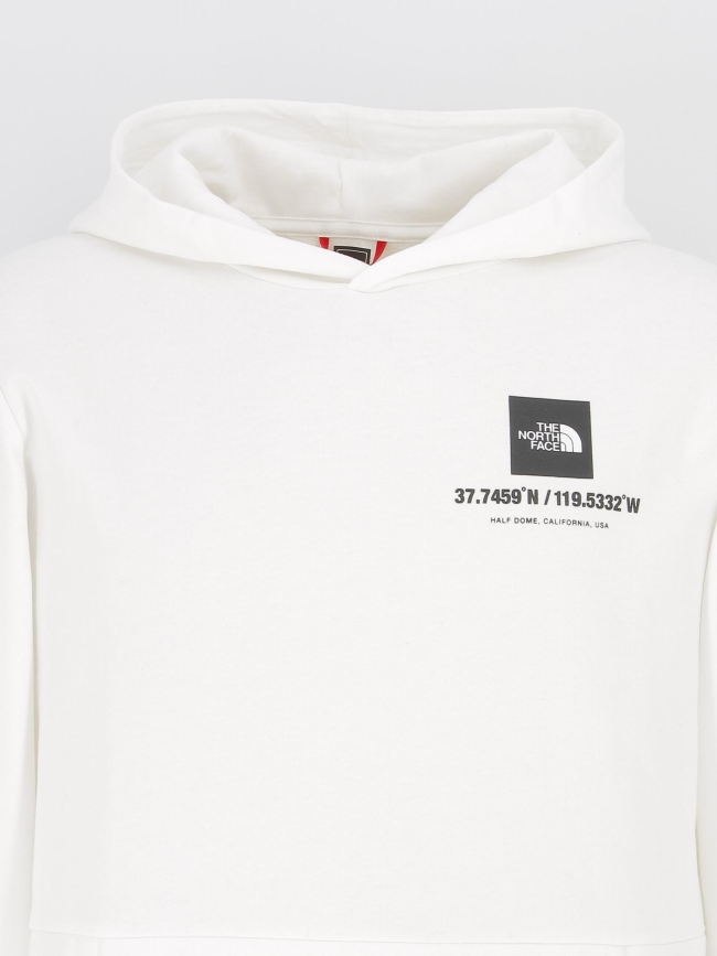 Sweat à capuche coordinates blanc homme - The North Face