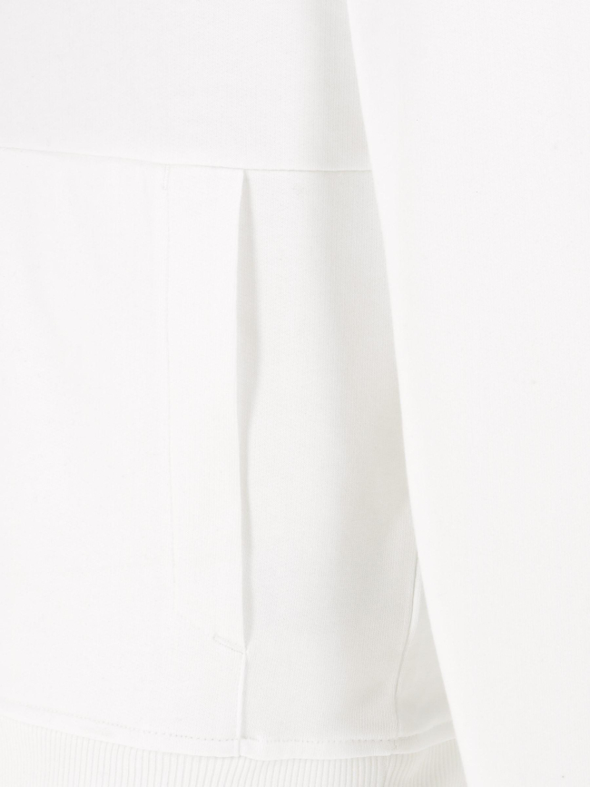 Sweat à capuche coordinates blanc homme - The North Face