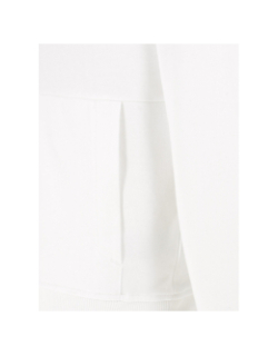 Sweat à capuche coordinates blanc homme - The North Face