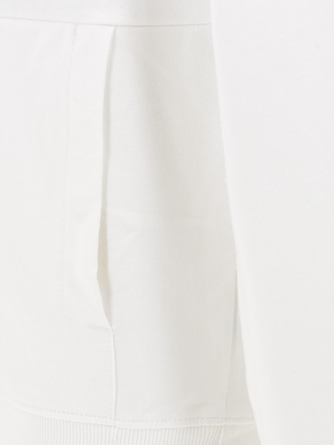 Sweat à capuche dos graphic blanc homme - The North Face