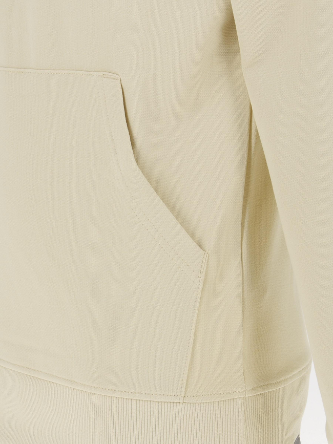 Sweat à capuche light drew peak beige homme - The North Face