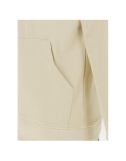 Sweat à capuche light drew peak beige homme - The North Face