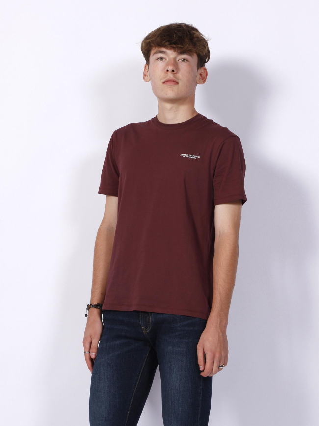 T-shirt vineyard basique logo bordeaux homme - Armani Exchange