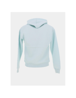 Sweat à capuche logo brodé bleu homme - Project x Paris