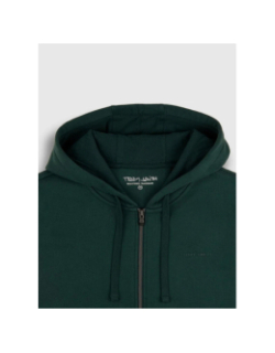Sweat à capuche zippé ciglass little vert homme - Teddy Smith