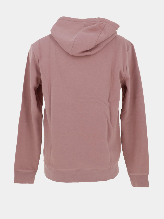 Sweat à capuche jim rose homme - Teddy Smith