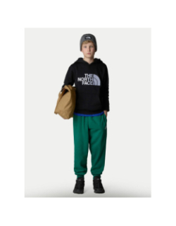 Sweat à capuche drew peak noir enfant - The North Face