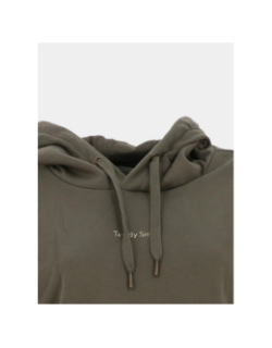 Sweat à capuche s-solene kaki femme - Teddy Smith