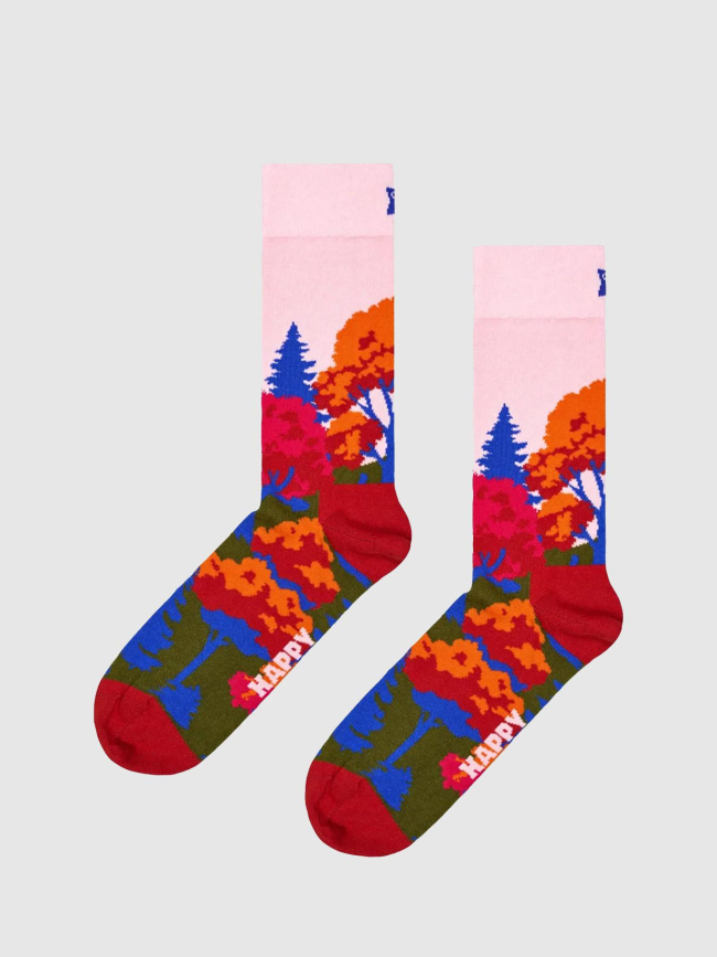Chaussettes automne rose - Happy Socks