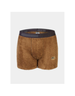 Boxer poilstrusse marron homme - Picture