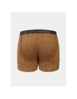 Boxer poilstrusse marron homme - Picture