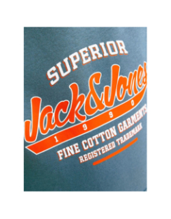 Sweat à capuche elogo oceanview bleu garçon - Jack & Jones
