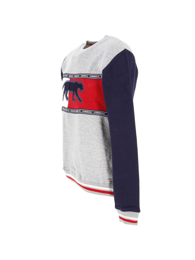 Sweat sport cayler gris homme - Airness