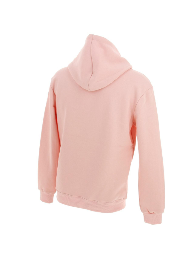 Sweat à capuche basic rose - Project X Paris