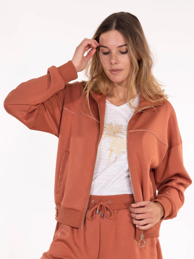 Sweat zippée à col droit alice marron femme - Happy & So