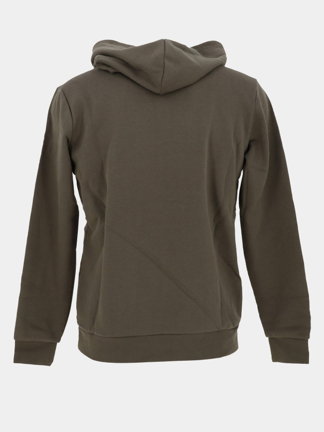 Sweat à capuche s-nark kaki garçon - Teddy Smith