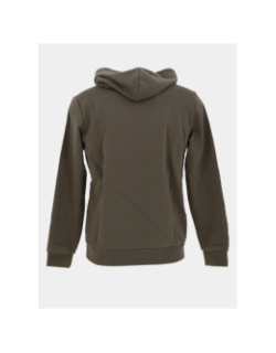 Sweat à capuche s-nark kaki garçon - Teddy Smith