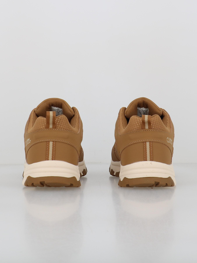 Chaussures de randonnée dryfeet marron femme - Elementerre