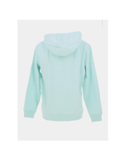 Sweat à capuche uni logo bleu vert homme - Tommy Jeans