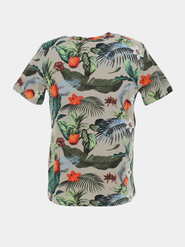 T-shirt floral antone beige vert homme - Teddy Smith