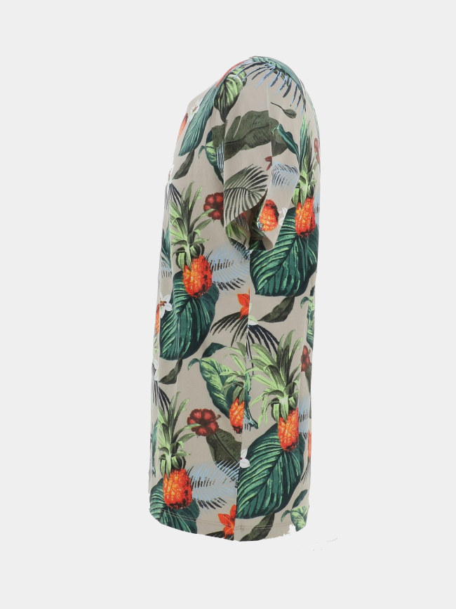 T-shirt floral antone beige vert homme - Teddy Smith
