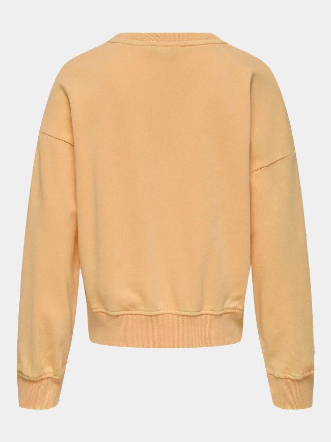 Sweat col rond à effet délavé kogminna orange fille - Only