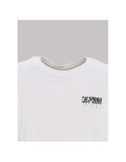 T-shirt nkmzulla california blanc garçon - Name It