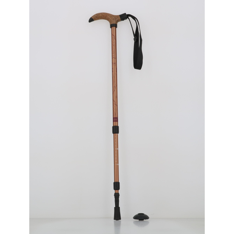 Canne de randonnée antichoc froggle bronze adulte - Élémenterre