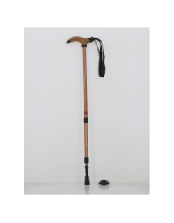 Canne de randonnée antichoc froggle bronze adulte - Élémenterre