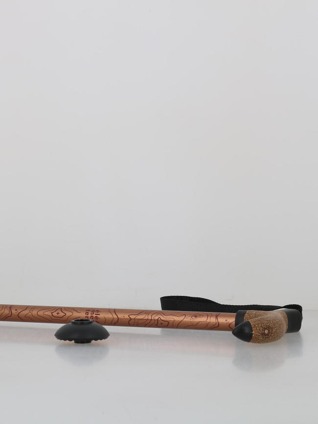 Canne de randonnée antichoc froggle bronze adulte - Élémenterre