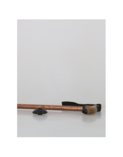 Canne de randonnée antichoc froggle bronze adulte - Élémenterre