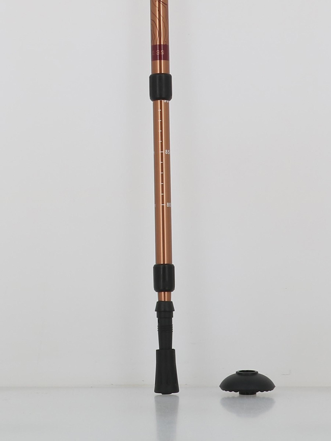 Canne de randonnée antichoc froggle bronze adulte - Élémenterre