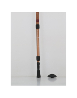 Canne de randonnée antichoc froggle bronze adulte - Élémenterre