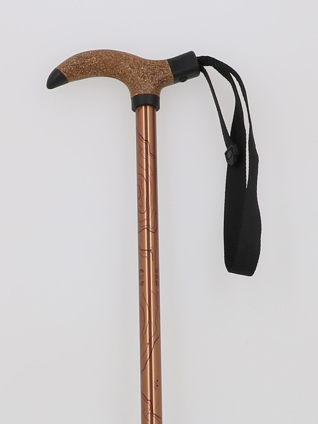 Canne de randonnée antichoc froggle bronze adulte - Élémenterre