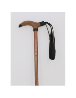 Canne de randonnée antichoc froggle bronze adulte - Élémenterre