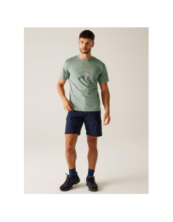 T-shirt de randonnée fingal IX vert homme - Regatta