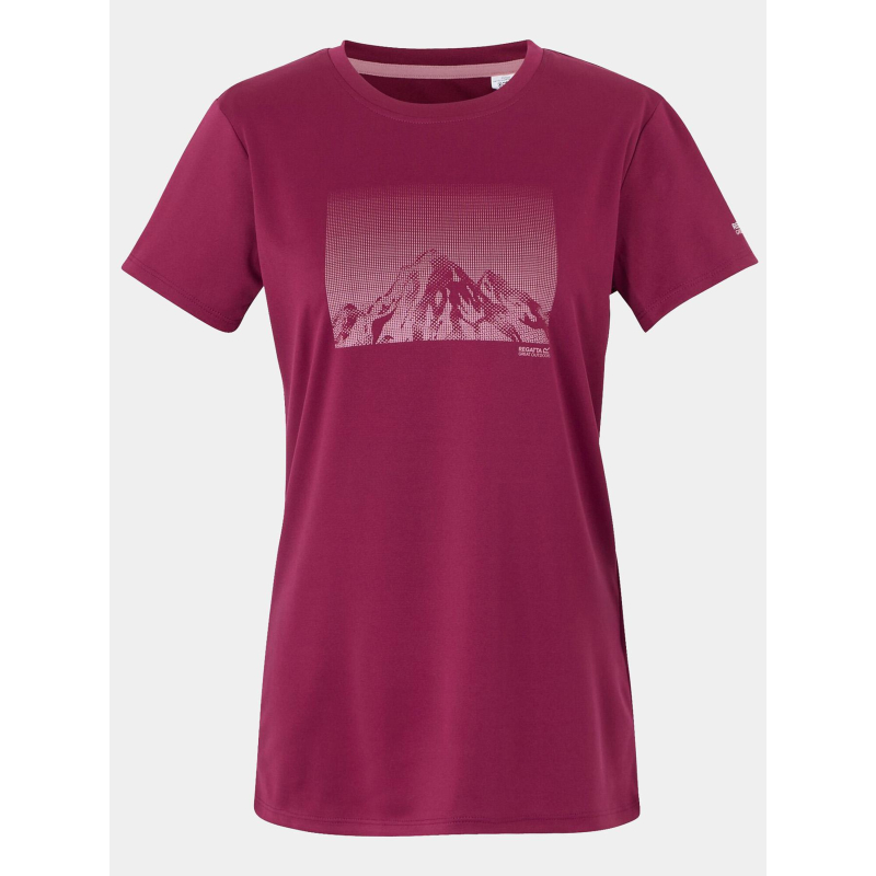T-shirt de randonnée fingal IX violet femme - Regatta