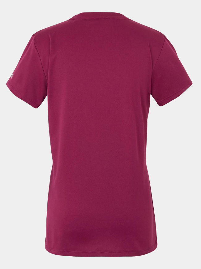 T-shirt de randonnée fingal IX violet femme - Regatta